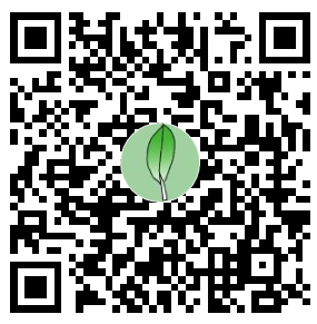 Paypay QR Code